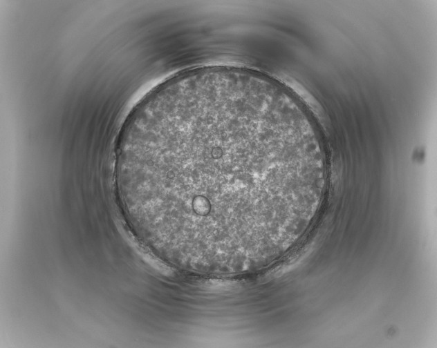 X0000093120933200710241259