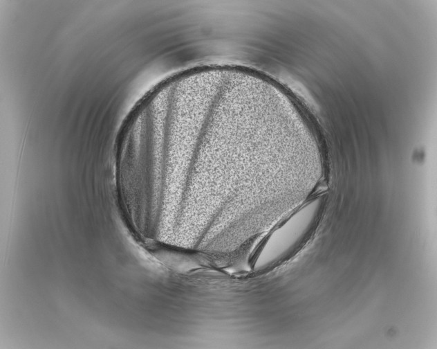 X0000093120934200710241259