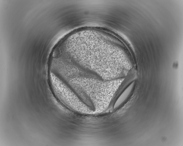 X0000093120935200710241259