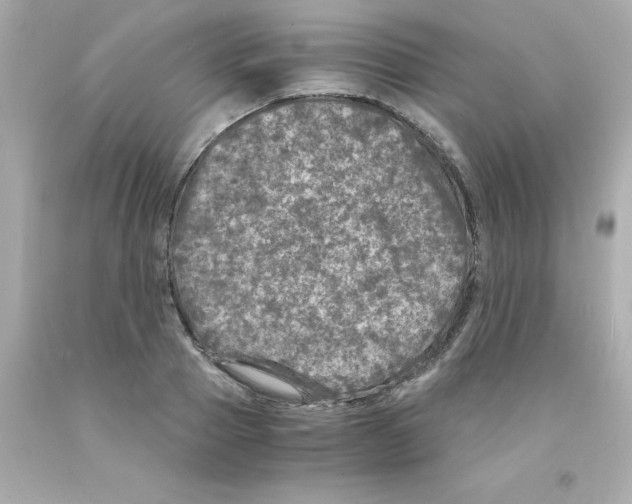 X0000093120937200710241259