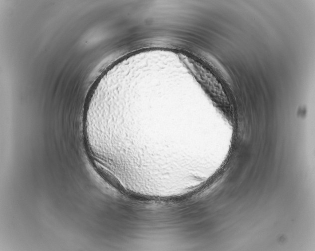 X0000093120938200710241259