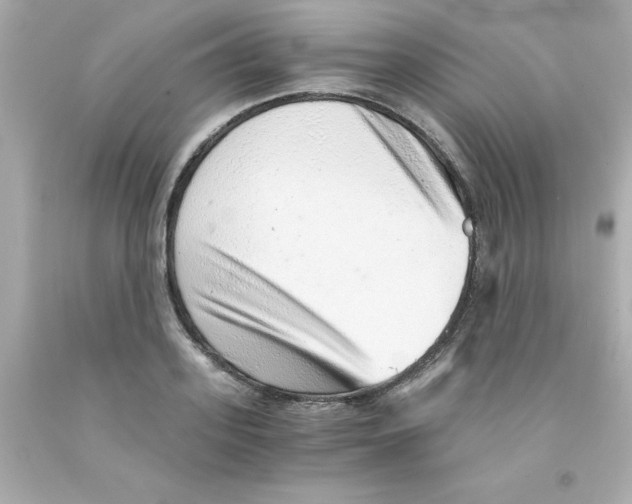 X0000093120939200710241259