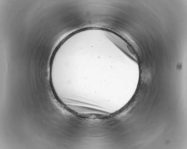 X0000093120940200710241300