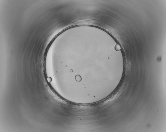 X0000093120941200710241300