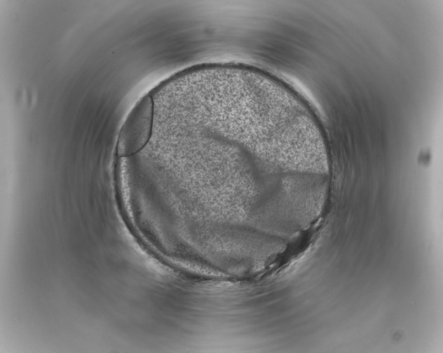 X0000093120943200710241300
