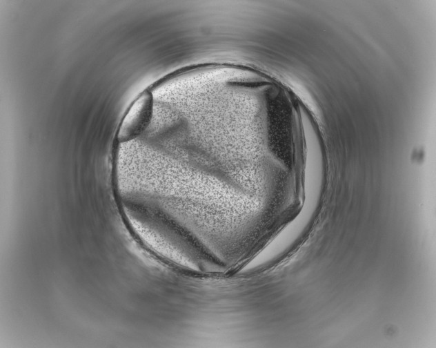X0000093120944200710241300