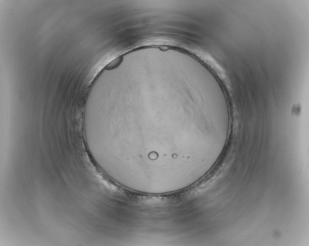X0000093120945200710241300