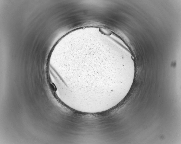 X0000093120947200710241300