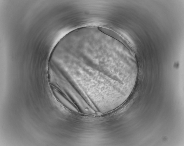 X0000093120948200710241300