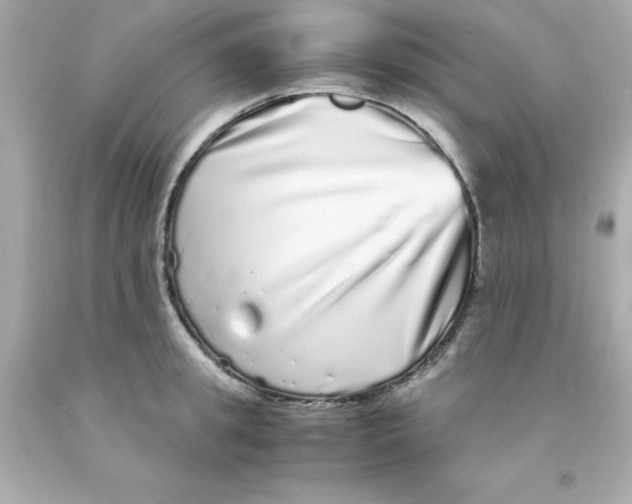 X0000093120949200710241300