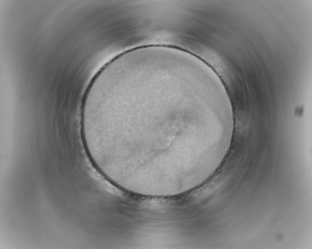 X0000093120950200710241300
