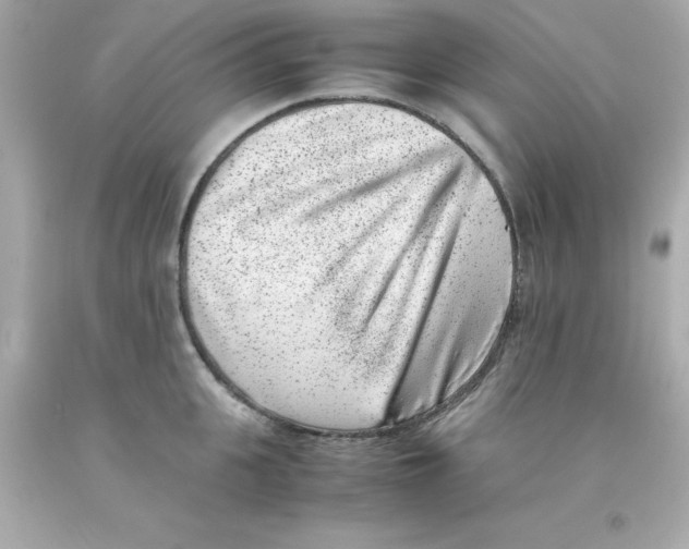 X0000093120951200710241300