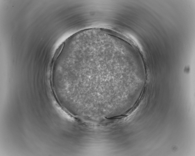 X0000093120952200710241300
