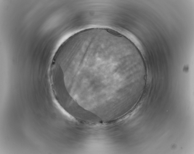 X0000093120958200710241300