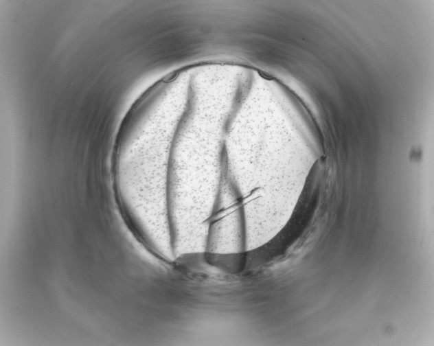X0000093120959200710241300
