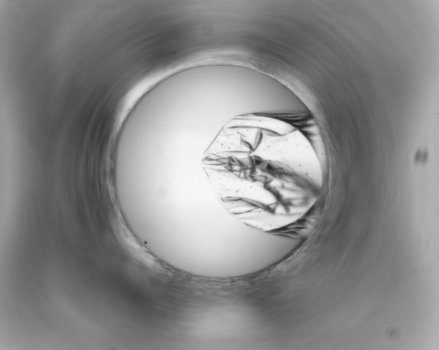 X0000093120960200710241300