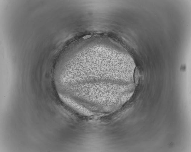X0000093120961200710241259