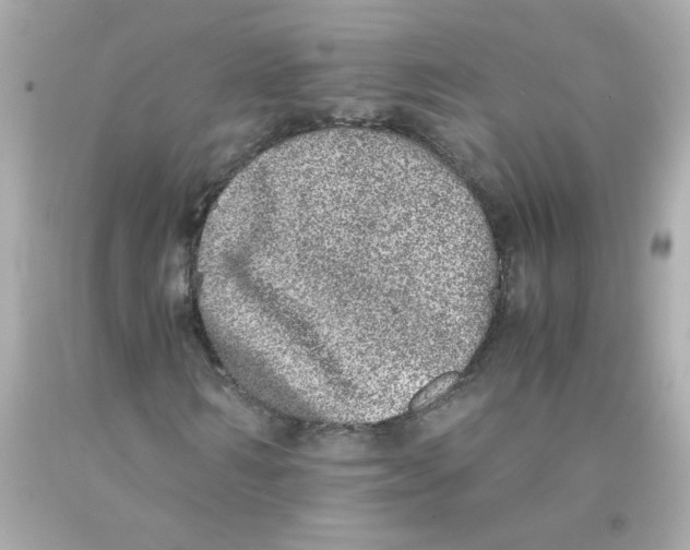 X0000093120962200710241259