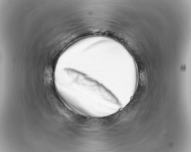 X0000093120963200710241259