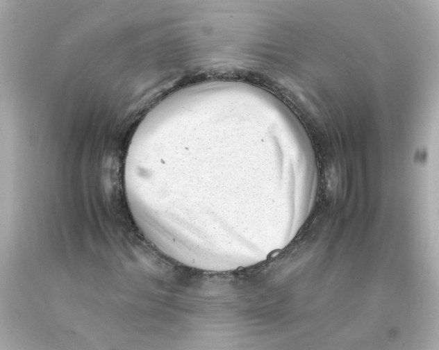 X0000093120964200710241259