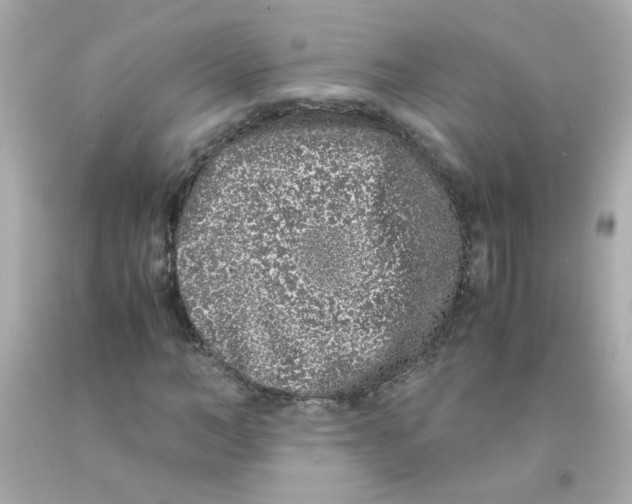 X0000093120966200710241259