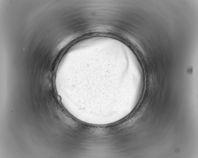 X0000093120970200710241259