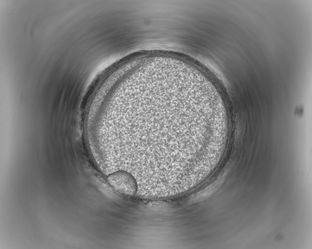 X0000093120974200710241259