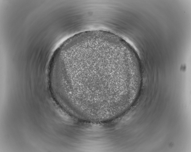 X0000093120975200710241259