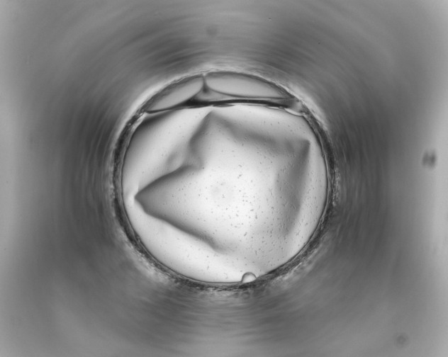 X0000093120976200710241259