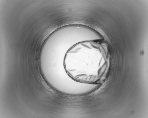 X0000093120977200710241259