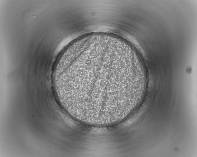 X0000093120978200710241259