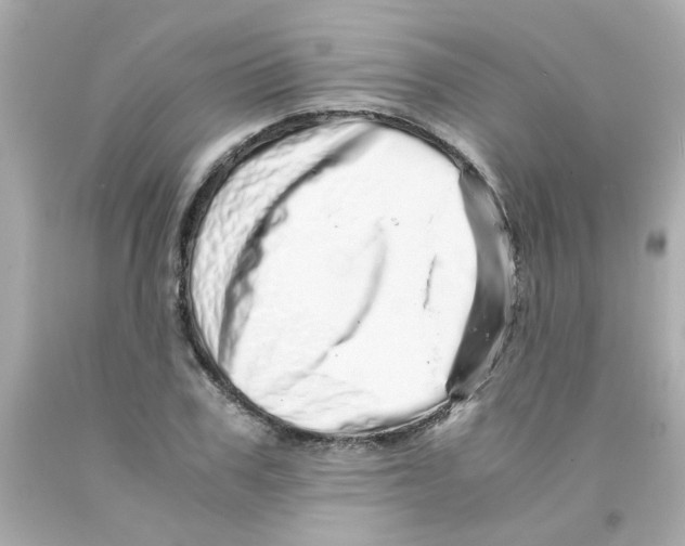 X0000093120979200710241259