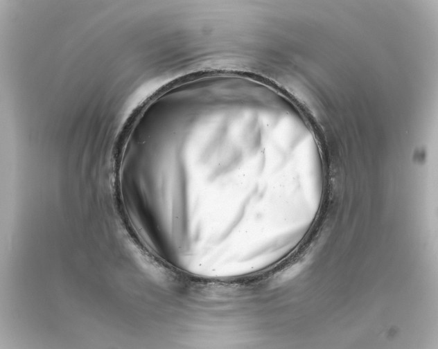 X0000093120981200710241259