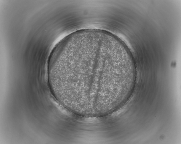 X0000093120982200710241259