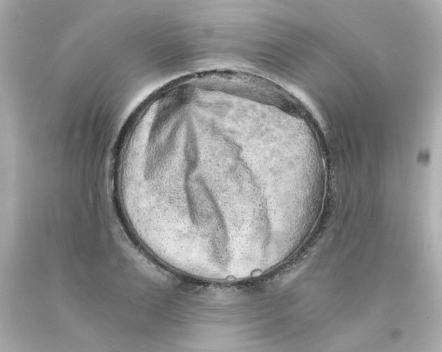 X0000093120983200710241259