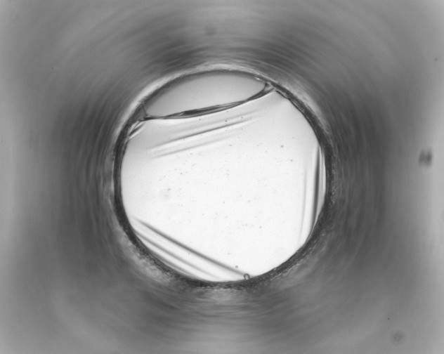 X0000093120984200710241259