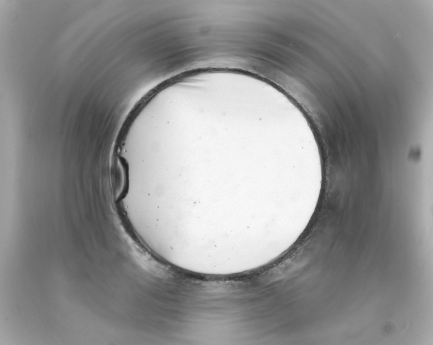 X0000093120988200710241259