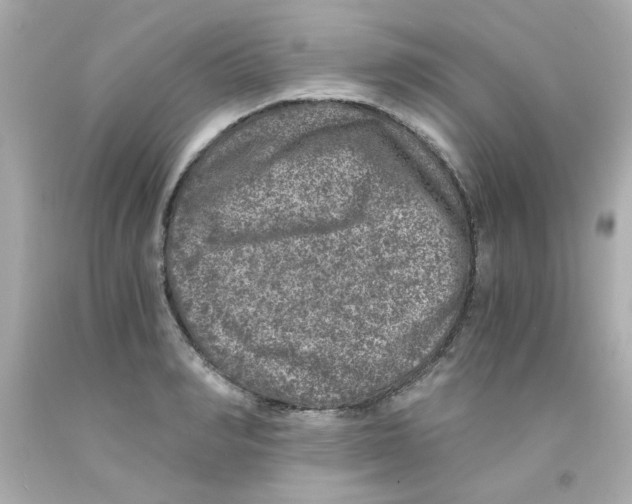 X0000093120990200710241259