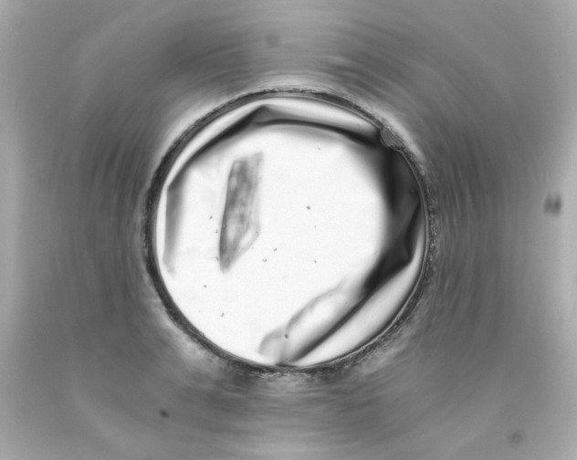 X0000093120991200710241259