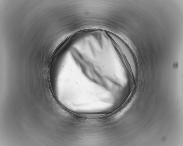 X0000093120993200710241259