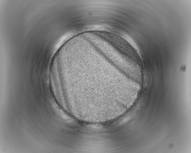 X0000093120994200710241259