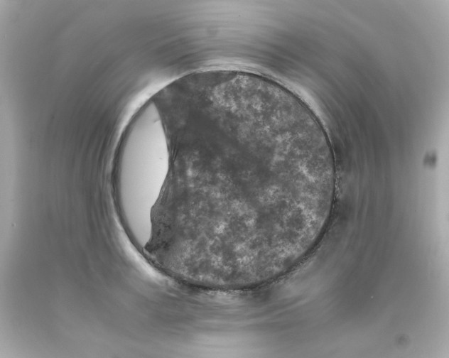 X0000093120995200710241259