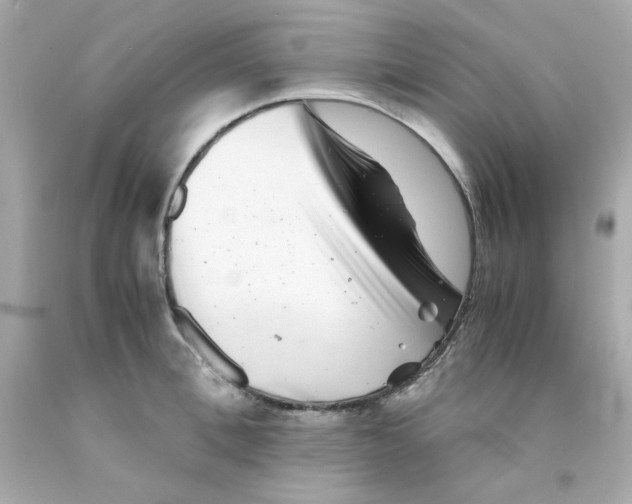 X0000093120996200710241259