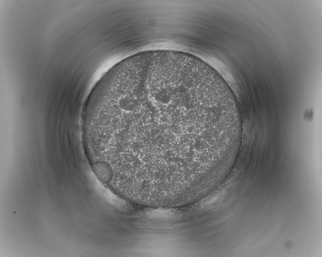 X0000093120998200710241259