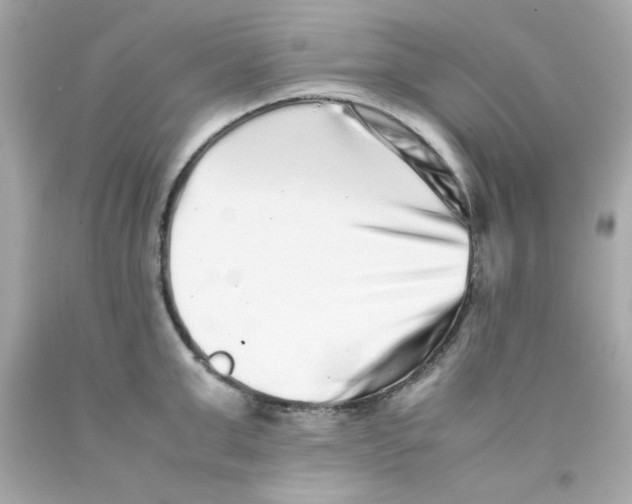 X0000093120999200710241259
