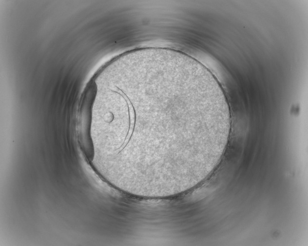 X0000093121000200710241258