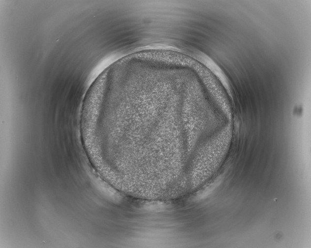 X0000093121002200710241258