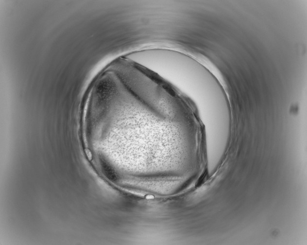 X0000093121005200710241258