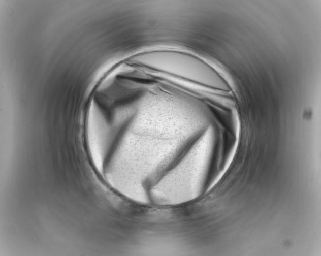 X0000093121006200710241258