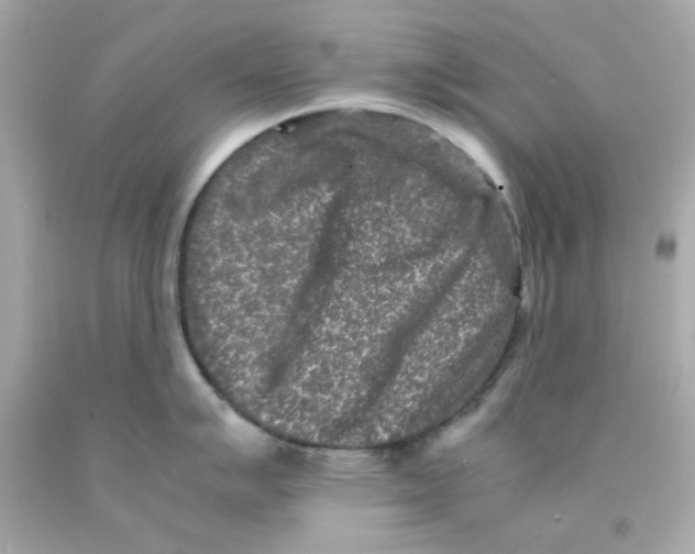 X0000093121007200710241258